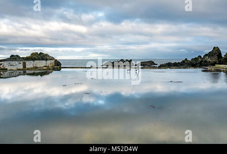 Man Walking Dog am Rande des Tarlair Outdoor Swimming Pool, MacDuff, Aberdeenshire, Schottland, Großbritannien. Stockfoto