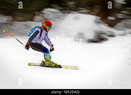Skifahrer, Snowboarder Ski Snowboard Wintersport auf der Piste in Bansko Bulgarien Österreich Stockfoto