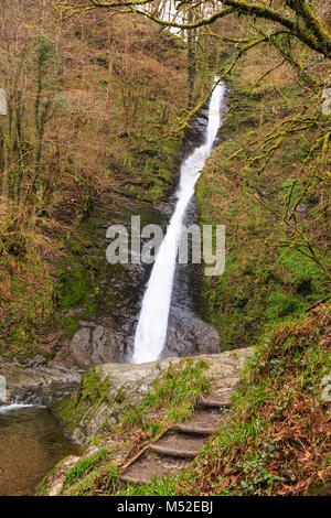 Die 30 Meter Whitelady Wasserfall an Lydford Gorge, Devon, England Stockfoto