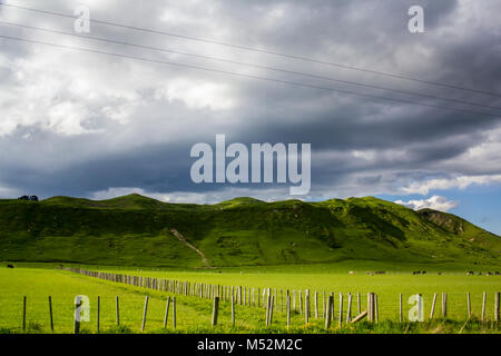 Atemberaubende Neuseeland Landschaft mit Schafen und Kühen weiden auf pulsierende grüne Wiesen Stockfoto