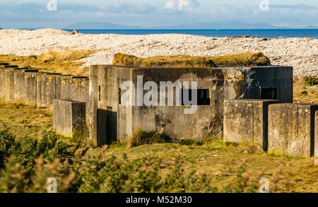 Weltkrieg Verteidigung konkrete Bausteine und Bunker in Kiesstrand, Spey Bay, Moray, Schottland, Großbritannien Stockfoto