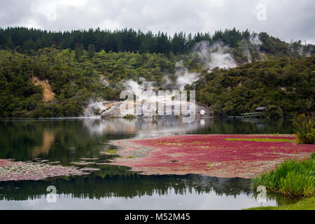 Regenwald, schönen Fluss und geothermische Aktivität in Orakei Korako Park, die Hidden Valley in Neuseeland Stockfoto