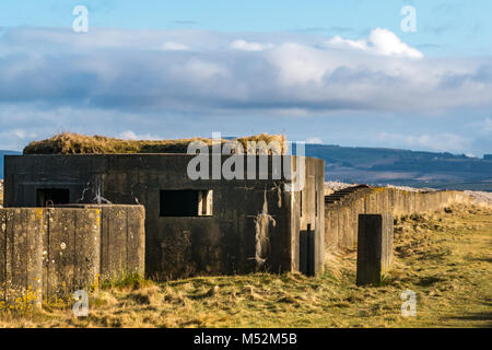 Weltkrieg II Abwehr, Linie von Anti Tank betonsteine am Strand in den Dünen, Spey Bay, Moray, Schottland, Großbritannien Stockfoto