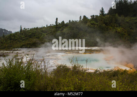 Dampf stieg von bunten Terrasse auf geothermische Landschaft Stockfoto