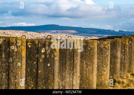 Weltkrieg II Abwehr, Linie von Anti Tank betonsteine am Strand in den Dünen, Spey Bay, Moray, Schottland, Großbritannien Stockfoto