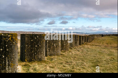 Weltkrieg II Abwehr, Linie von Anti Tank betonsteine am Strand in den Dünen, Spey Bay, Moray, Schottland, Großbritannien Stockfoto