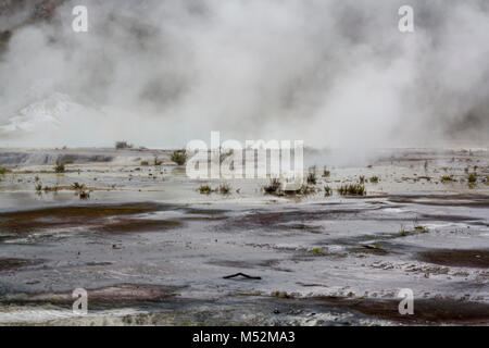 Geothermische Aktivität, vulkanischen Gebiet und Dampf stieg von Terrasse Stockfoto