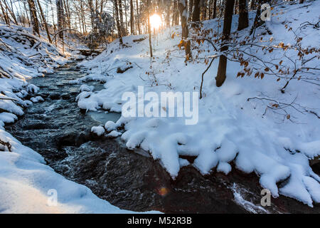 Winter Bach im Wald Morgen Sonnenaufgang Frühling Stockfoto