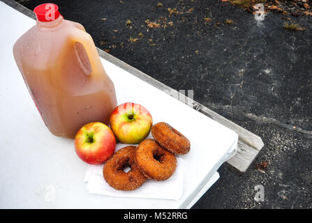 Kalt gepresste Apfelsaft in einer Kunststoff gallon Jug gepunktete durch Feuchtigkeit Tropfen Kondenswasser neben zwei Gala Äpfel und drei Apfelwein Donuts. Stockfoto