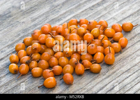 Sanddorn (Hippophae rhamnoides) barries auf hölzernen Tisch. Stockfoto