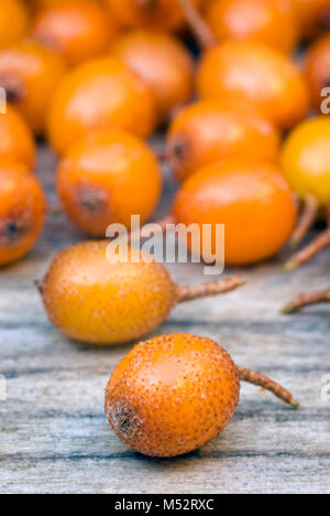 Sanddorn (Hippophae rhamnoides) barries auf hölzernen Tisch. Stockfoto