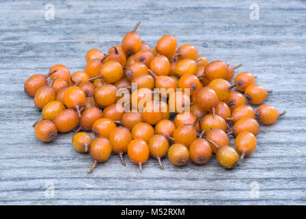 Sanddorn (Hippophae rhamnoides) barries auf hölzernen Tisch. Stockfoto