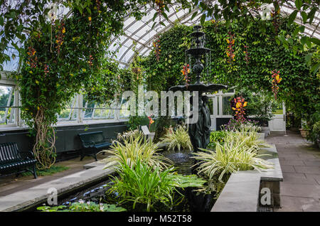 Brunnen und tropischen Garten innerhalb der Enid A. Haupt Wintergarten ist ein Gewächshaus in den New York Botanical Garden in Bronx, New York, dem Lebendigen mu Stockfoto