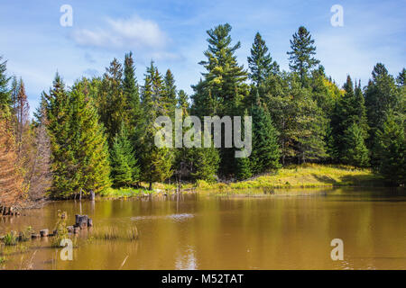 Der See ist umgeben von immergrünen Tannen Stockfoto