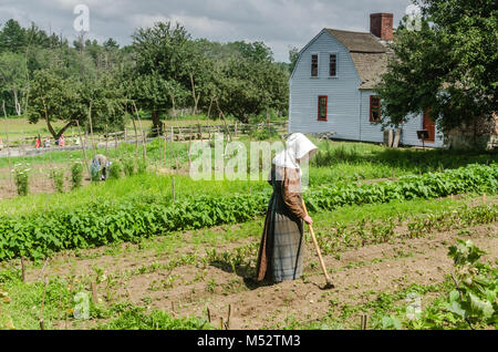 Colonial bewirtschaften an Old Sturbridge Village, ein lebendes Museum in Sturbridge, MA, die re-schafft Leben im ländlichen New England 1730-1830 s entfernt. Stockfoto