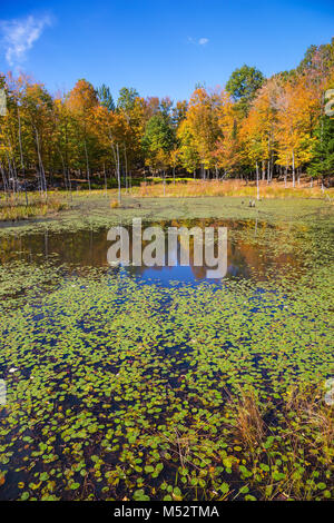 Sonnige Oktober in Französisch Kanada Stockfoto