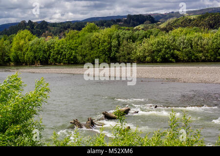 Manawatu River fließt in Neuseeland Stockfoto