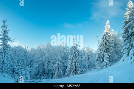 Winter Ukrainischen Karpaten Landschaft. Stockfoto
