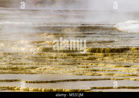 Dampf auf hot spring Pools auf Terrassen in Mammoth Hot Springs, Yellowstone National Park, Wyoming. Stockfoto