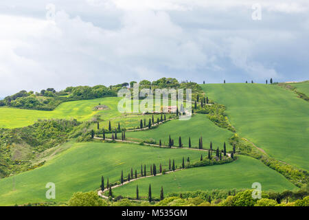 Kurvenreiche Straße auf einem Hügel in einer ländlichen Italienische Landschaft Stockfoto