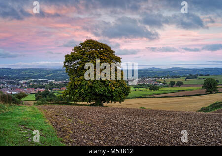 UK, Somerset, Mangold, Ansicht von Snowdon Hill über die Stadt Stockfoto