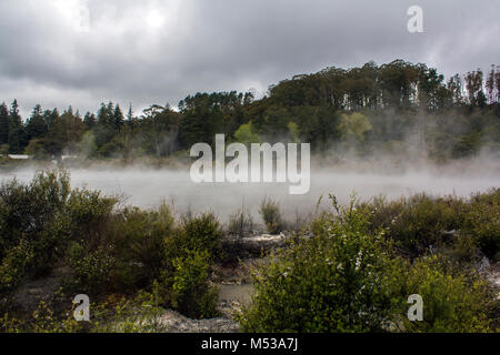 Foggy River und Wald landschaft Stockfoto