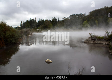 Nebligen Wald- und Flusslandschaft Stockfoto