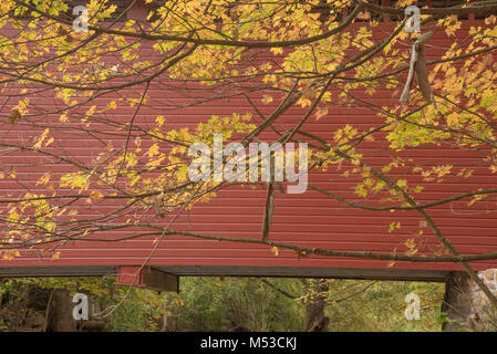 Herbst Golden Leaf Farben gegen den roten Roddy Straße Covered Bridge in der Nähe von GUYMON MD. Stockfoto