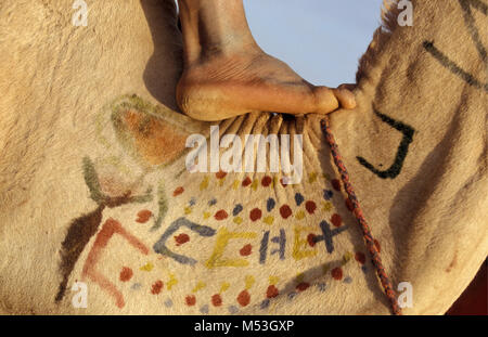 Mali. Anderamboukane, in der Nähe der Menaka. Sahara. Sahel. Tamadacht Festival. Füße auf verziert Kamel. Stockfoto