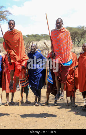 Maasai Krieger tanzen im Dorf in der Nähe von Ngorongoro Krater, Tansania Stockfoto