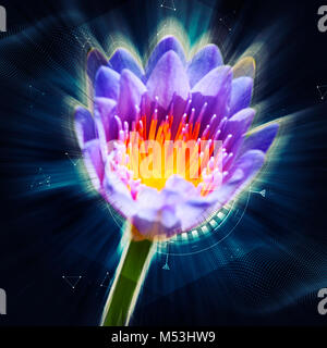 Digital verbesserte Bild einer Seerose im Teich - in der Nähe Stockfoto