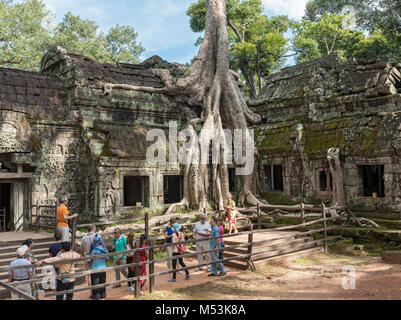 Touristen Warteschlange in der Linie zu Fotos der spung Baum an Ta Prohm Tempel in Angkor, Kambodscha nehmen Stockfoto