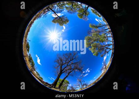 Cuenca del Rio San Pedro, Naturalia Stockfoto