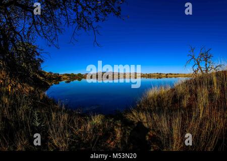 Cuenca del Río y Arroyo San Pedro, en el Norte de Sonora, Mexiko. Posee la mayor y más extensos pastizales nativos en Sonora Stockfoto