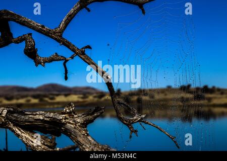 Cuenca del Rio San Pedro, Naturalia Stockfoto