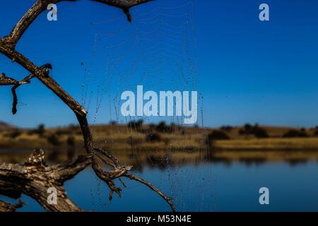 Cuenca del Rio San Pedro, Naturalia Stockfoto