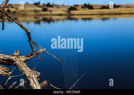 Cuenca del Rio San Pedro, Naturalia Stockfoto
