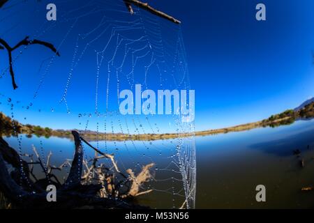 Cuenca del Rio San Pedro, Naturalia Stockfoto