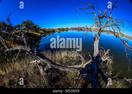 Cuenca del Rio San Pedro, Naturalia Stockfoto