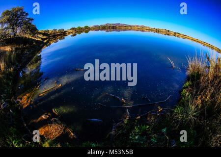 Cuenca del Rio San Pedro, Naturalia Stockfoto
