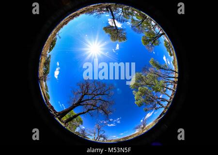 Cuenca del Rio San Pedro, Naturalia Stockfoto