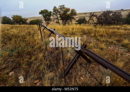 Cuenca del Rio San Pedro, Naturalia Stockfoto