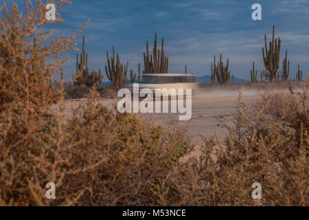 Sonoran Wüste, die durch hohe Catus gekennzeichnet ist nur wenige Meter von Meer Wasser in der mexikanischen Pazifik Osea Foto: LuisGutierrez. Stockfoto