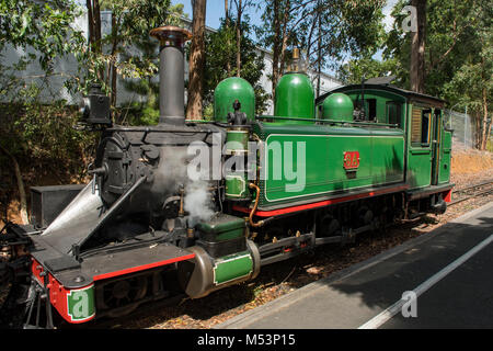 Puffing Billy Steam Lok Nr. 6 A bei Mezies Creek, Victoria, Australien Stockfoto