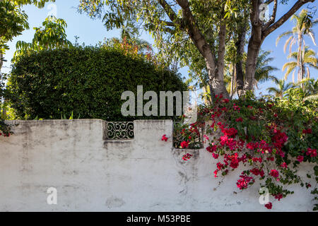 Eine alte Putz an der Wand mit verzierten Funktionen und blühende Pflanzen schmücken ein Residence Garden in Santa Barbara, Kalifornien Stockfoto