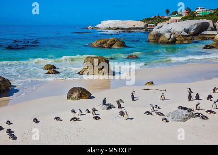 Der Sandstrand am Atlantik Stockfoto