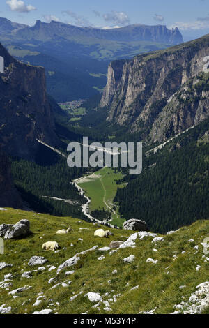 Dolomiten, Südtirol; Italien; Langental; Langental; Stockfoto