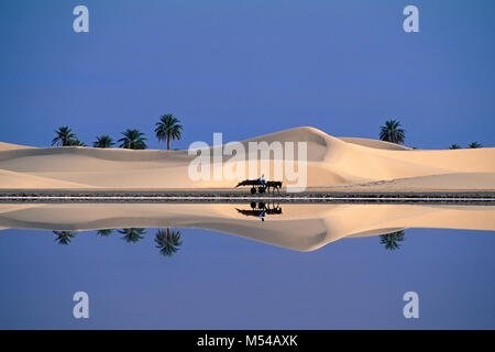 Algerien. In Der Nähe Von Ouargla. Östliche Sandsee. Grand Erg Oriental. Sahara-Wüste. Sanddünen und Eselskarren mit Jungen mit Palmenblättern in der Nähe des Salzsees. Stockfoto