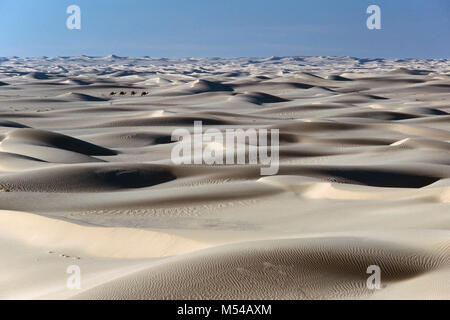 Algerien. In der Nähe von Ouargla. Östlichen Sandsea. Grand Erg Oriental. Sahara. Landschaft. Sand Sea. Sanddünen. Kamele gehen auf den Markt zu bringen. Kamel caravantrain Stockfoto