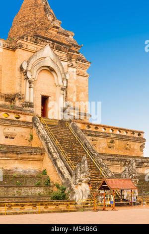 Wat Chedi Luang Chiang Mai Tempel Thailand Stockfoto